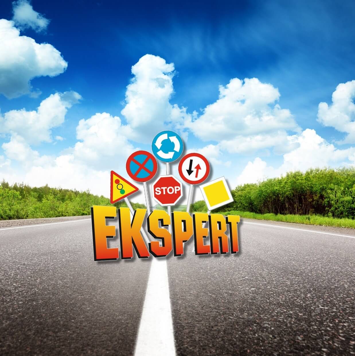 logo szkoła nauki jazdy ekspert